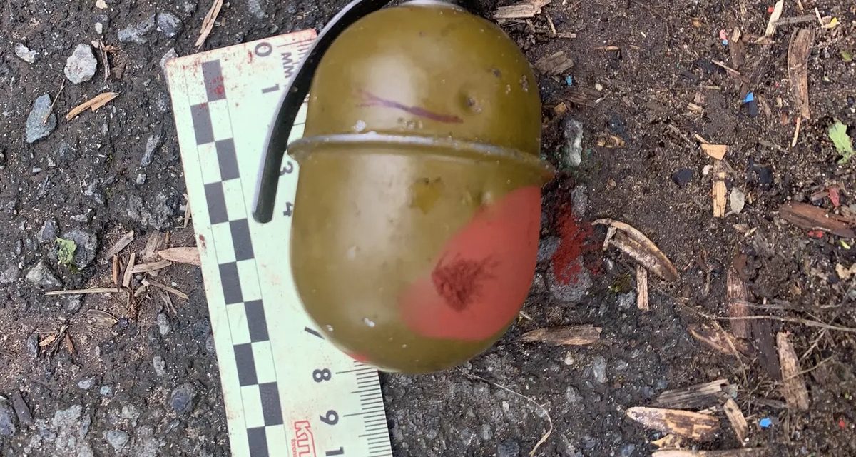 Ижевчанин выронил неучебную гранату во дворе, а дома у него нашли оружие и наркотики